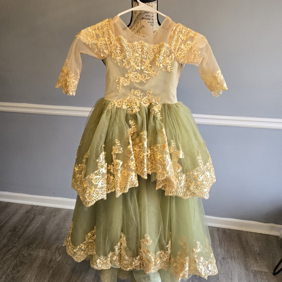 Other - Elegant Green and Gold Kids Costume Dress
